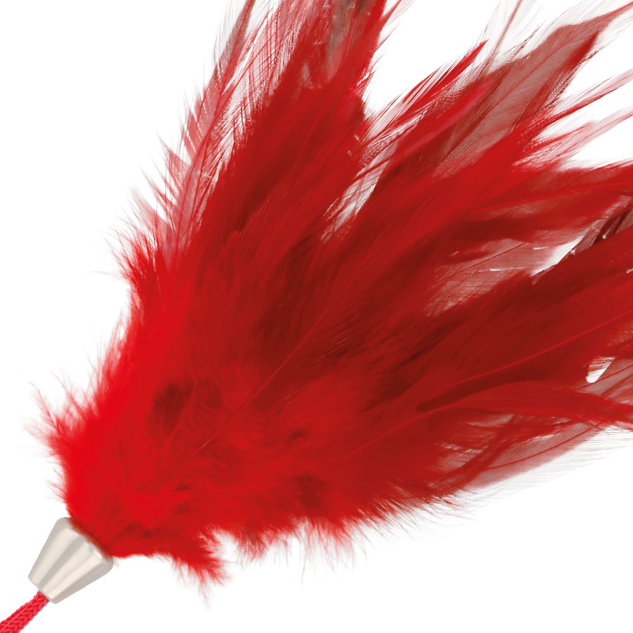 img_78835_817e998658ca295594650a2f9db1f418_1.png