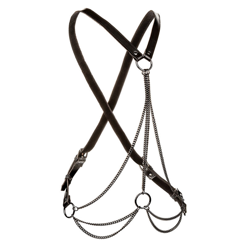 img_186257_fc619f167f93798c14d30c2e1b95404c_1-1