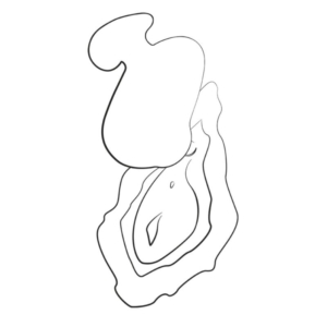 ROMP - KISS SUCCIONADOR DE CLÍTORIS VIBRADOR DE DEDO RECARGABLE